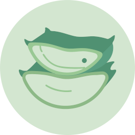 Icon3