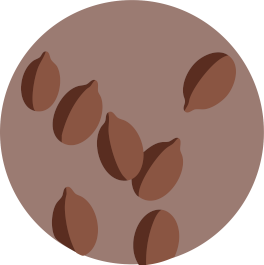 Icon1