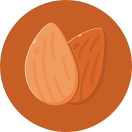 Icon1