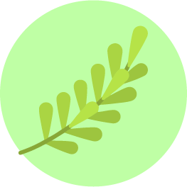 Icon2
