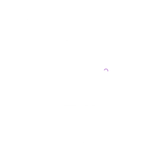 Custom image
