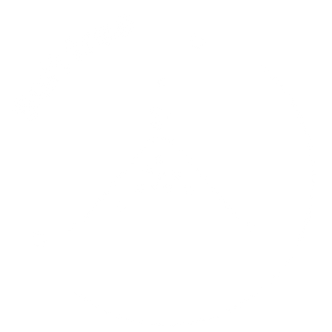 Custom image