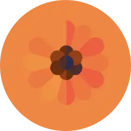 Icon6