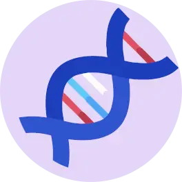 Icon4