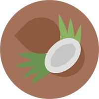 Icon1