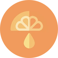 Icon1