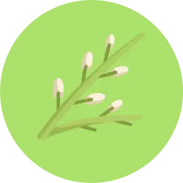 Icon2