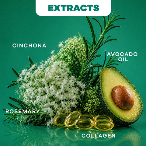 Tratamiento Rinse  para el crecimiento del cabello con romero y quina