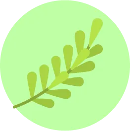 Icon2